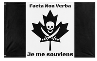A mockup of the custom flag 'Take Back Canada flag' on a white background