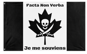 A mockup of the custom flag 'Take Back Canada flag' on a white background