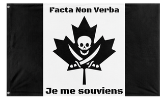 A mockup of the custom flag 'Take Back Canada flag' on a white background