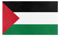 A mockup of the custom flag 'pal flag' on a white background