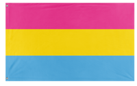 A mockup of the custom flag 'Pansexual Flag' on a white background