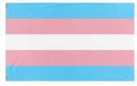 A mockup of the custom flag 'Transgender Flag' on a white background