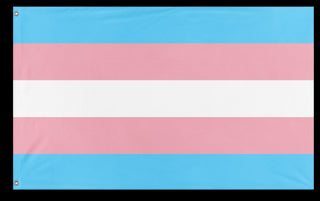 A mockup of the custom flag 'Transgender Flag' on a white background