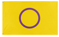 A mockup of the custom flag 'Intersex Flag' on a white background