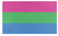 A mockup of the custom flag 'Polysexual Flag' on a white background