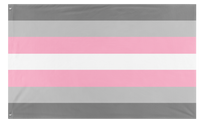 A mockup of the custom flag 'Demigirl Flag' on a white background
