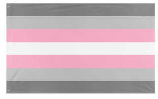 A mockup of the custom flag 'Demigirl Flag' on a white background