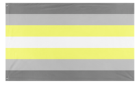 A mockup of the custom flag 'Demigender/Deminonbinary Flag' on a white background