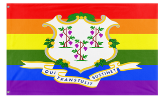 A mockup of the custom flag 'Connecticut Pride Flag' on a white background