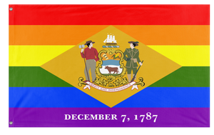 A mockup of the custom flag 'Delaware Pride Flag' on a white background