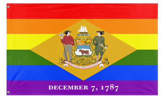 A mockup of the custom flag 'Delaware Pride Flag' on a white background