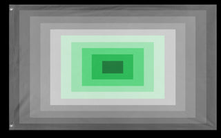 A mockup of the custom flag 'Schizophrenia Pride Flag' on a white background