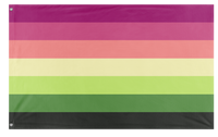 A mockup of the custom flag 'aromantic lesbian flag' on a white background