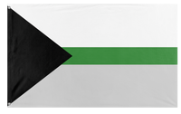 A mockup of the custom flag 'Demiromantic Pride Flag' on a white background