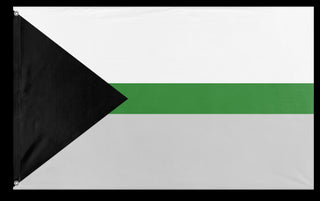 A mockup of the custom flag 'Demiromantic Pride Flag' on a white background