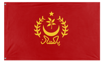 A mockup of the custom flag 'Socialist Pakistan Flag' on a white background