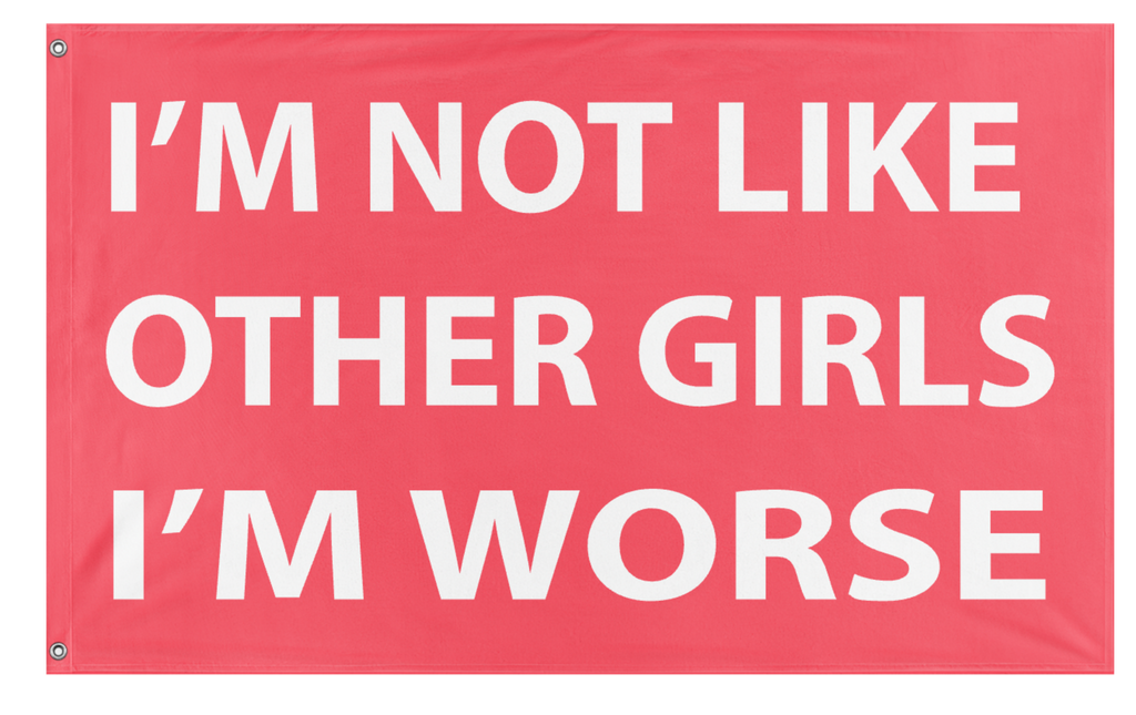 Not Like Other Girls Flag (Inappropriate Flags) – Flagmaker & Print