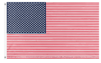 A mockup of the custom flag 'Cursed US flag' on a white background