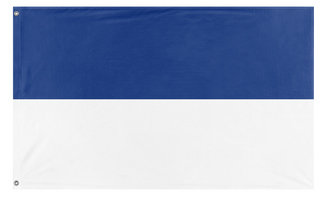 A mockup of the custom flag 'the future flag' on a white background
