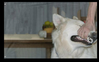 A mockup of the custom flag 'gangsta flag' on a white background
