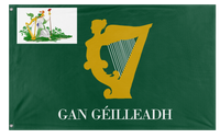 A mockup of the custom flag 'Harp of Eirinn flag' on a white background
