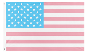 A mockup of the custom flag 'Trans American flag' on a white background