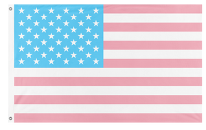 A mockup of the custom flag 'Trans American Flag' on a white background
