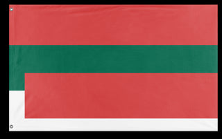 A mockup of the custom flag 'T flag' on a white background