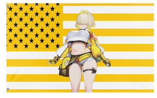 A mockup of the custom flag 'Elegg Nation flag' on a white background