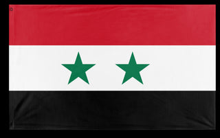 A mockup of the custom flag 'ba'athist syria' on a white background