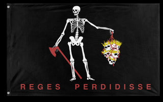 A mockup of the custom flag 'Reges Prdidisse flag' on a white background