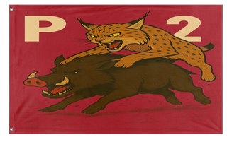 A mockup of the custom flag '55555 flag' on a white background