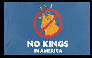 A mockup of the custom flag 'No Kings in America flag' on a white background