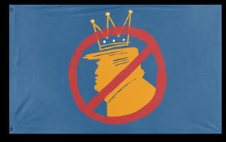 A mockup of the custom flag 'Anti-Trump flag' on a white background