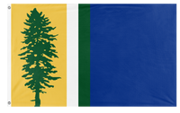 A mockup of the custom flag 'Cascadia Redesign flag' on a white background