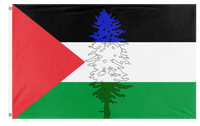 A mockup of the custom flag 'Cascadia for Palestine flag' on a white background
