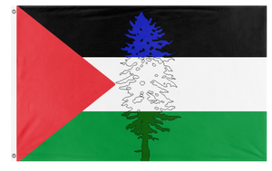 A mockup of the custom flag 'Cascadia for Palestine flag' on a white background