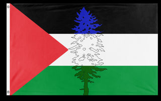 A mockup of the custom flag 'Cascadia for Palestine flag' on a white background