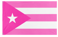 A mockup of the custom flag 'Pink Puerto Rico  flag' on a white background