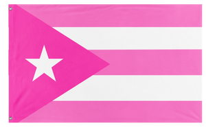 A mockup of the custom flag 'Pink Puerto Rico  flag' on a white background