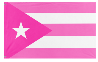 A mockup of the custom flag 'Pink Puerto Rican  flag' on a white background