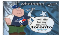 A mockup of the custom flag 'Toronto flag' on a white background