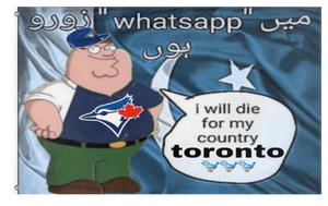 A mockup of the custom flag 'Toronto flag' on a white background