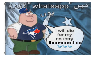 A mockup of the custom flag 'Toronto flag' on a white background