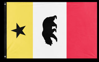 A mockup of the custom flag 'Pacifica Sideways flag' on a white background