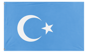 A mockup of the custom flag 'East Turkestan flag' on a white background