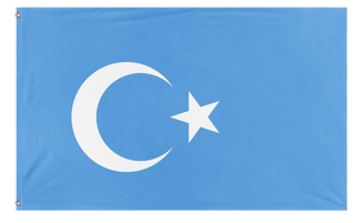 A mockup of the custom flag 'East Turkestan flag' on a white background