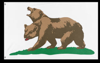 A mockup of the custom flag 'Bear. flag' on a white background