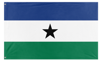 A mockup of the custom flag 'Anyguola flag' on a white background