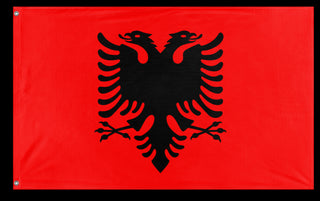 A mockup of the custom flag 'double sided test flag' on a white background